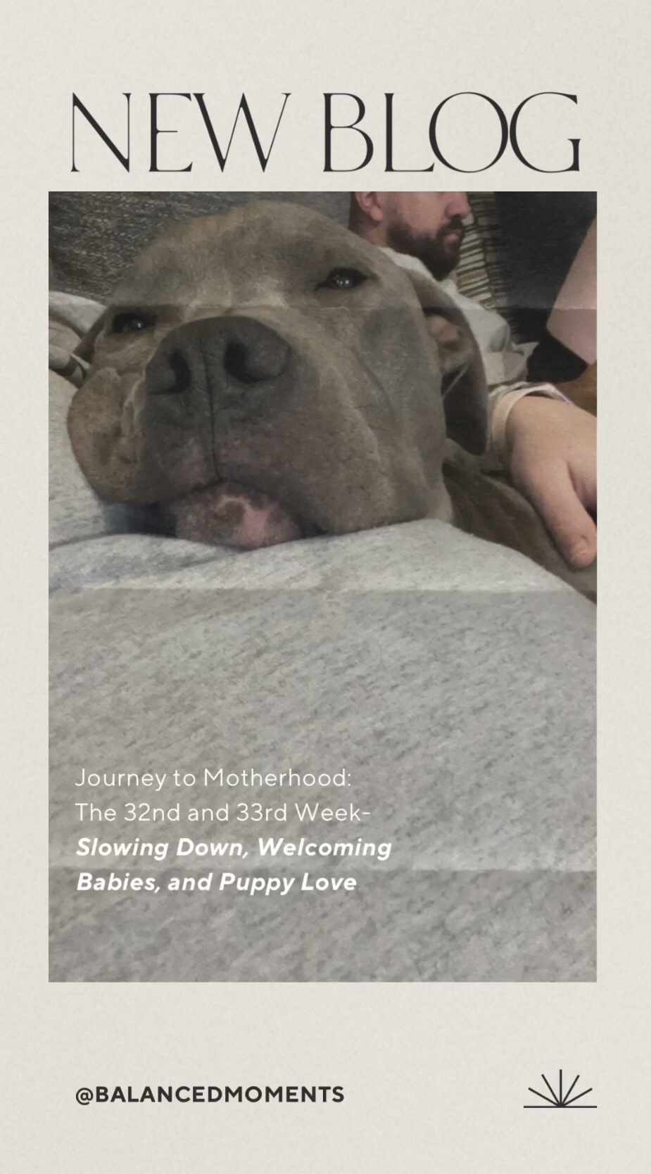 The Journey to Motherhood: The 32nd & 33rd Week- Slowing Down, Welcoming Babies, and Puppy Love
